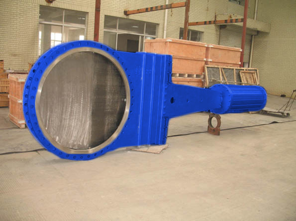 trường hợp công ty mới nhất về 